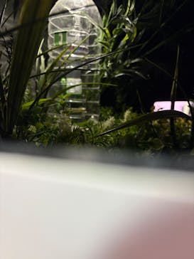 Mozuミニチュア展　ようこそ、ちいさな世界へ in 須賀川に投稿された画像（2025/7/18）