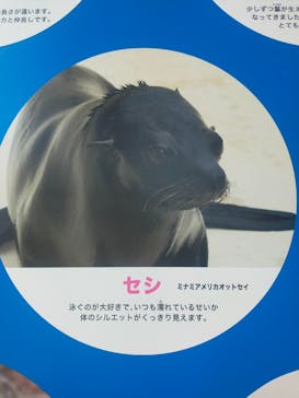 新江ノ島水族館に投稿された画像（2025/7/18）