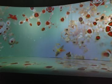 正倉院 THE SHOW －感じる。いま、ここにある奇跡－に投稿された画像（2025/7/18）