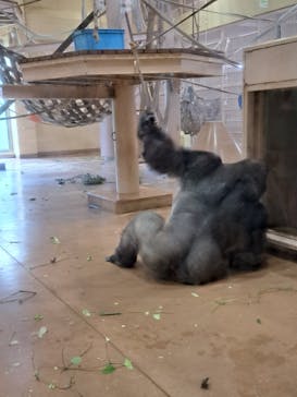 名古屋市東山動植物園に投稿された画像（2025/7/18）