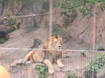 名古屋市東山動植物園に投稿された画像（2025/7/18）