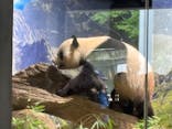恩賜上野動物園に投稿された画像（2025/7/18）