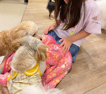 いぬカフェRio イオンモール福岡店に投稿された画像（2025/7/18）