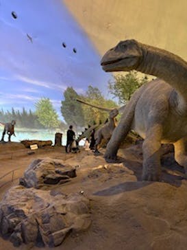 福井県立恐竜博物館に投稿された画像（2025/7/18）