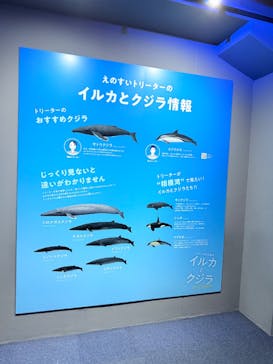 新江ノ島水族館に投稿された画像（2025/7/18）