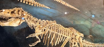 プレバト才能アリ展に投稿された画像（2025/7/18）