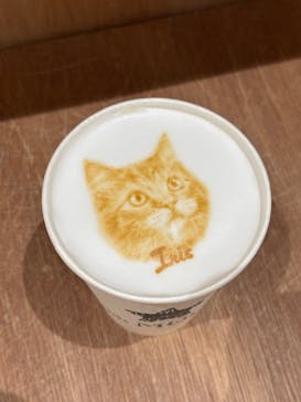Cat Café MOFF コクーンシティさいたま新都心店に投稿された画像（2025/7/18）