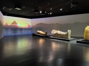MYSTERY OF TUTANKHAMEN 体感型古代エジプト展に投稿された画像（2025/7/18）