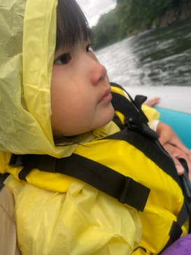 ニセコイブキに投稿された画像（2025/7/18）