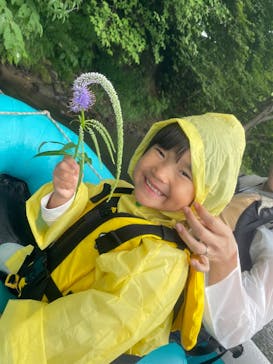 ニセコイブキに投稿された画像（2025/7/18）