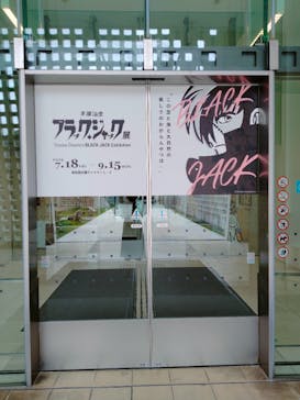 沖縄県立博物館・美術館〔おきみゅー〕に投稿された画像（2025/7/18）