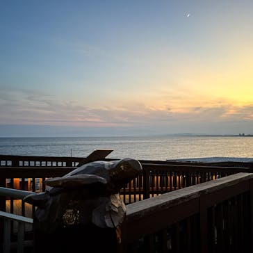 新江ノ島水族館に投稿された画像（2025/7/18）