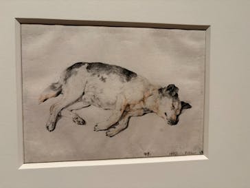 スウェーデン国立美術館　素描コレクション展―ルネサンスからバロックまでに投稿された画像（2025/7/18）