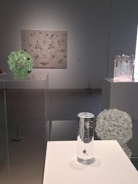 金沢21世紀美術館に投稿された画像（2025/7/18）