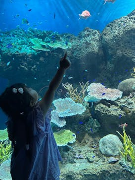 アクアワールド茨城県大洗水族館に投稿された画像（2025/7/18）