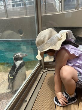 アクアワールド茨城県大洗水族館に投稿された画像（2025/7/18）