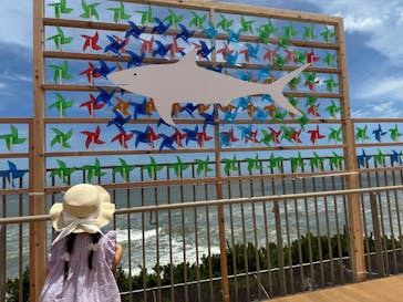 アクアワールド茨城県大洗水族館に投稿された画像（2025/7/18）