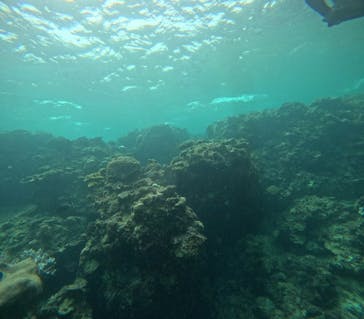 武藤潜水に投稿された画像（2025/7/19）