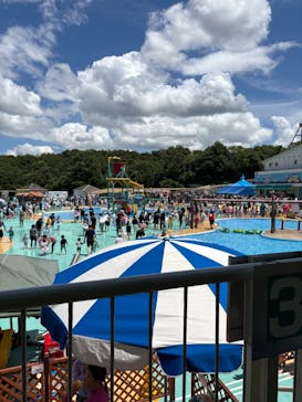 日本モンキーパークに投稿された画像（2025/7/19）