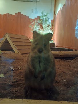 こども動物自然公園（埼玉県公園緑地協会）に投稿された画像（2025/7/19）