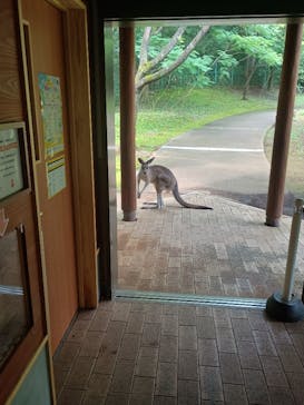 こども動物自然公園（埼玉県公園緑地協会）に投稿された画像（2025/7/19）