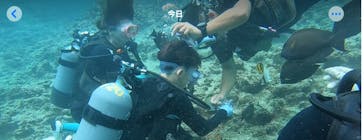 武藤潜水に投稿された画像（2025/7/19）