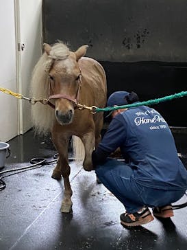 ノーザンホースパークに投稿された画像（2025/7/19）