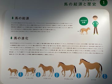 ノーザンホースパークに投稿された画像（2025/7/19）