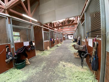 ノーザンホースパークに投稿された画像（2025/7/19）