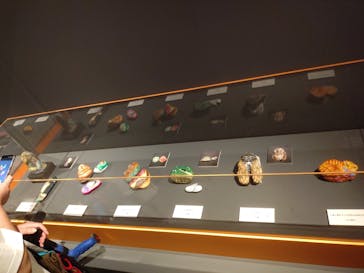 プレバト才能アリ展に投稿された画像（2025/7/19）