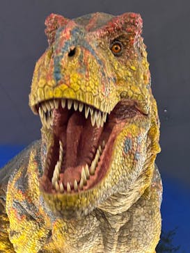 福井県立恐竜博物館に投稿された画像（2025/7/19）