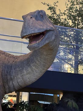 福井県立恐竜博物館に投稿された画像（2025/7/19）