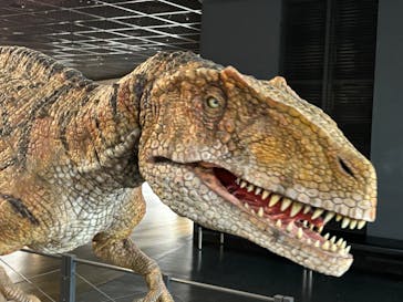 福井県立恐竜博物館に投稿された画像（2025/7/19）