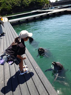 太地町立くじらの博物館に投稿された画像（2025/7/19）