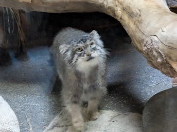 恩賜上野動物園に投稿された画像（2025/7/19）