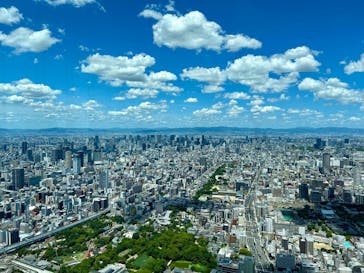 ハルカス300(展望台)に投稿された画像（2025/7/19）