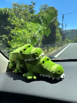 熱川バナナワニ園に投稿された画像（2025/7/19）