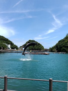 太地町立くじらの博物館に投稿された画像（2025/7/19）