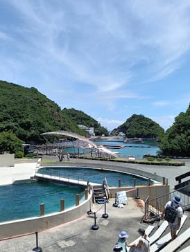 太地町立くじらの博物館に投稿された画像（2025/7/19）