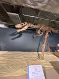 大恐竜展に投稿された画像（2025/7/19）