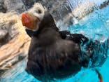 アクアワールド茨城県大洗水族館に投稿された画像（2025/7/19）