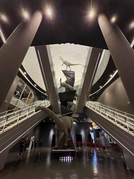 福井県立恐竜博物館に投稿された画像（2025/7/19）