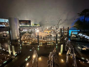 福井県立恐竜博物館に投稿された画像（2025/7/19）