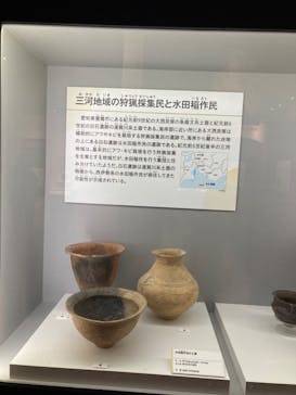 特別展「古代ＤＮＡ－日本人のきた道－」に投稿された画像（2025/7/19）
