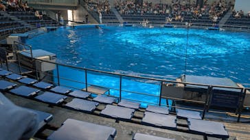 マクセル アクアパーク品川に投稿された画像（2025/7/19）