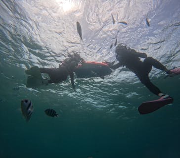 沖縄マリンサービス碧に投稿された画像（2025/7/19）