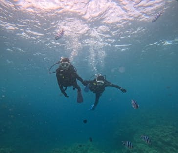 沖縄マリンサービス碧に投稿された画像（2025/7/19）