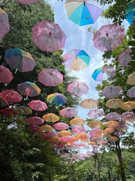 ムーミンバレーパークに投稿された画像（2025/7/19）