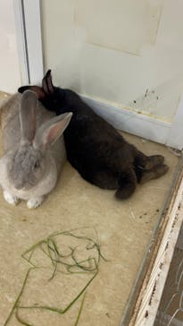 アニタッチ MARK IS 静岡に投稿された画像（2025/7/19）