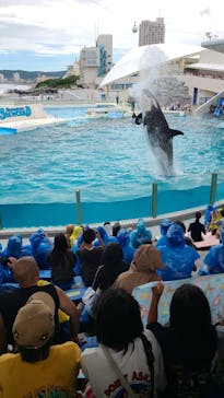 鴨川シーワールドに投稿された画像（2025/7/19）